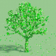 Nachhaltigkeitscontrolling in Organisationen der Sozialwirtschaft_Grüner Baum vor grünen Hintergrund